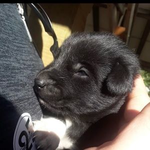 Meet your Posher, Jonathan